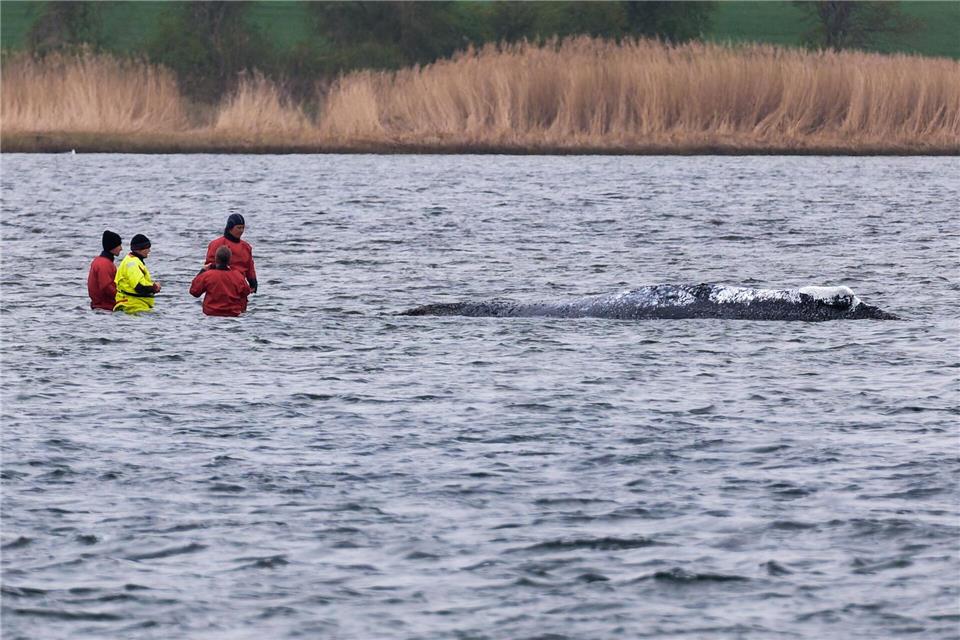 „Ich bin heute Morgen bei ihm gewesen, direkt an ihm dran“, sagte Till Backhaus.Marcus Golejewski/dpa