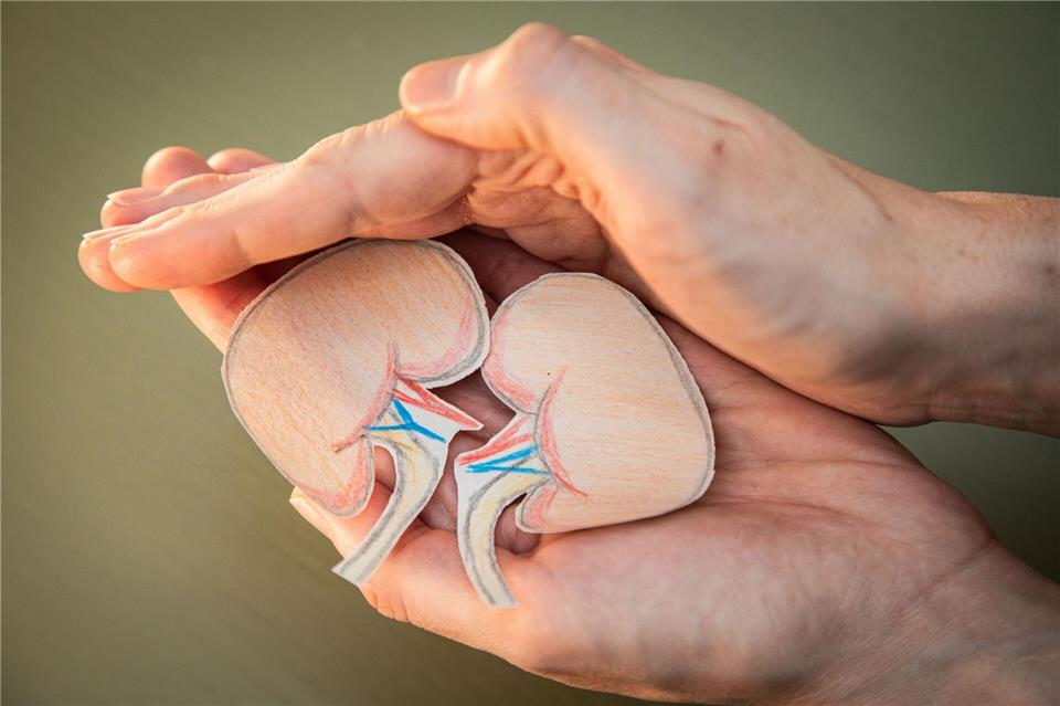 Ich pass‘ auf euch auf! Mit einem gesunden Lebensstil können wir unsere Nieren schützen. Christin Klose/dpa-tmn