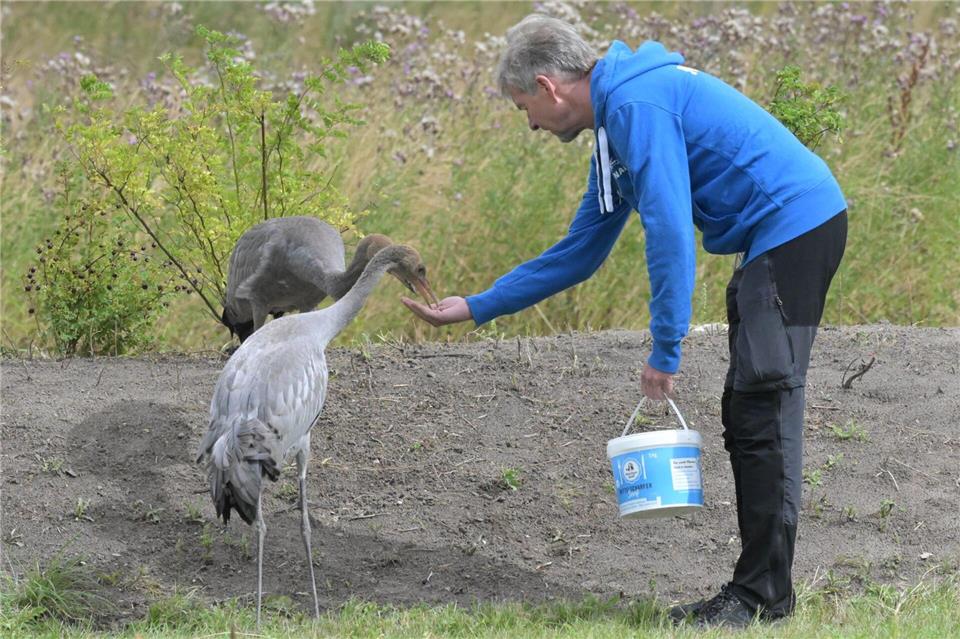 Ida und Michel picken aus Nowalds Hand und lassen sich sogar berühren.Stefan Sauer/dpa