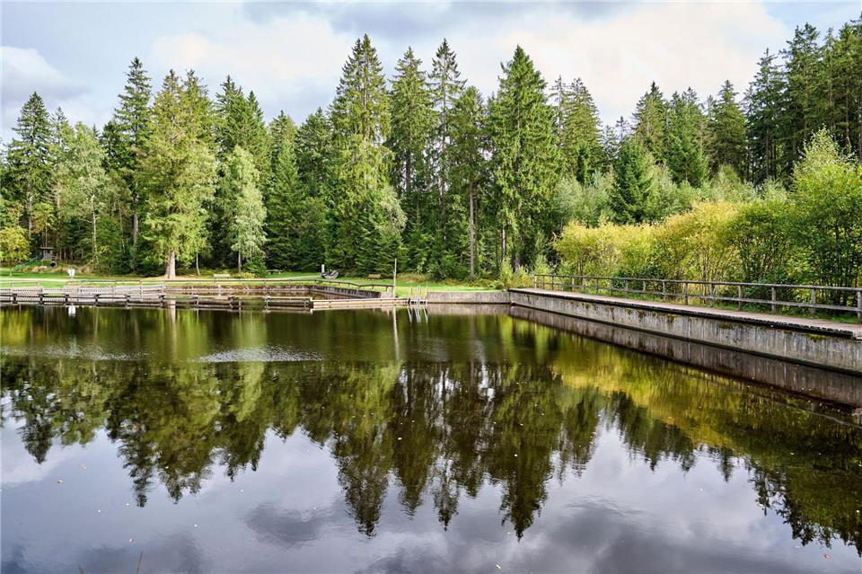 Idyllisch mitten im Wald liegt das Moorbad Fleckl am Rand des Ochsenkopfs im Fichtelgebirge.Florian Trykowski/Tourismuszentrale Fichtelgebirge /dpa