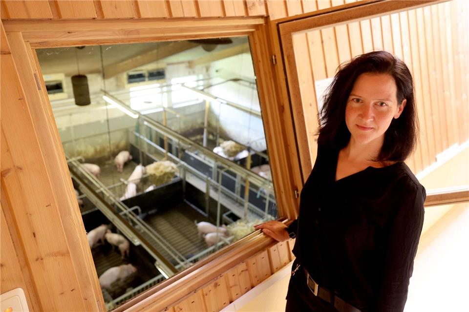 Ihre Diplomarbeit befasste sich noch mit den Lauten von Wildmeerschweinchen. Danach wechselte Biologin Sandra Düpjan zu Schweinen.Bernd Wüstneck/dpa