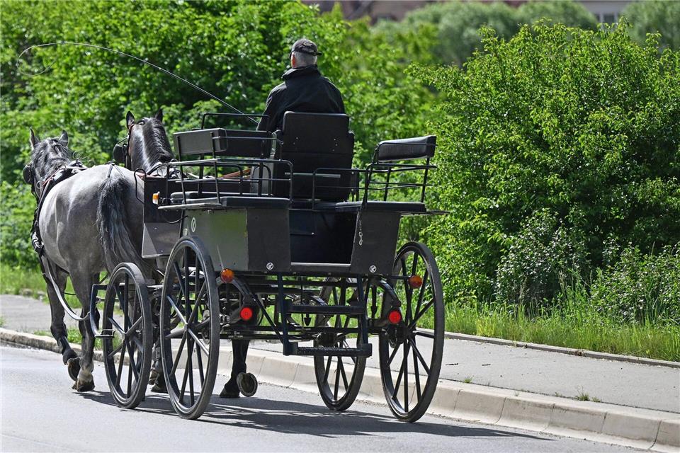 Pferde rennen mit herrenloser Kutsche durch Altstadt Ihre Route führte die Tiere am Sonntag unter anderem über den viel besuchten Markplatz, ehe es in einer Seitengasse zu dem Zusammenstoß mit einem Auto kam. (Symbolbild)Bernd Wei�brod/dpa