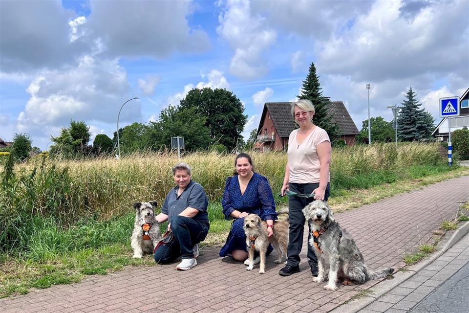 Ihre drei eigenen Hunde stammen aus Rumänien: Guido Gröber (von links), Katezyna Kazpova und Andrea Gröber.
