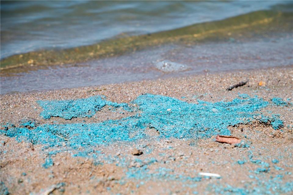 Im Altmühlsee wird vom Baden abgeraten. (Archivbild)Daniel Vogl/dpa