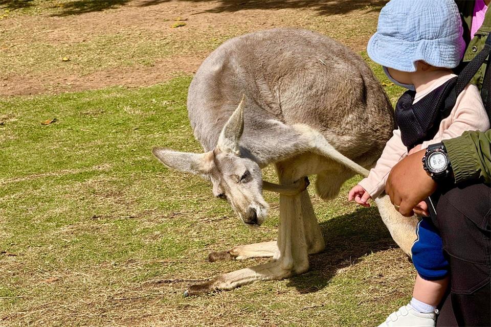 Im Australia Zoo können Besucher der australischen Tierwelt ganz nah kommen.Carola Frentzen/dpa