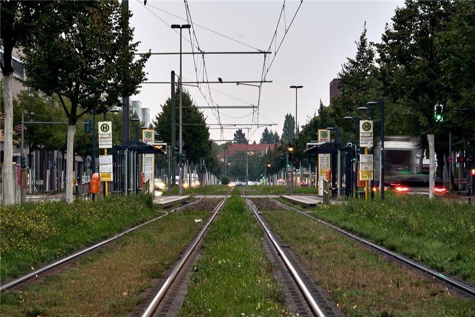 Im Berliner Südosten gibt es noch nicht überall wieder Strom - auch Ampeln und Straßenlaternen waren von dem Stromausfall betroffen. (Archivfoto) Michael Ukas/dpa