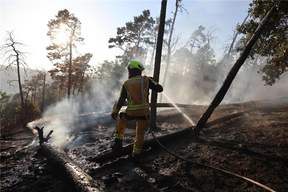 Im Bodetal bekämpft die Feuerwehr einen Waldbrand.Matthias Bein/dpa