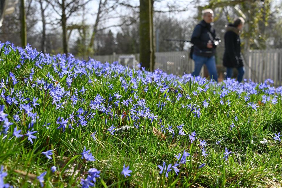 Im Botanischen Garten Kassel sorgt nach den Worten eines Sprechers auch die soziale Kontrolle dafür, dass nichts gestohlen wird (Archivbild).  Uwe Zucchi/dpa