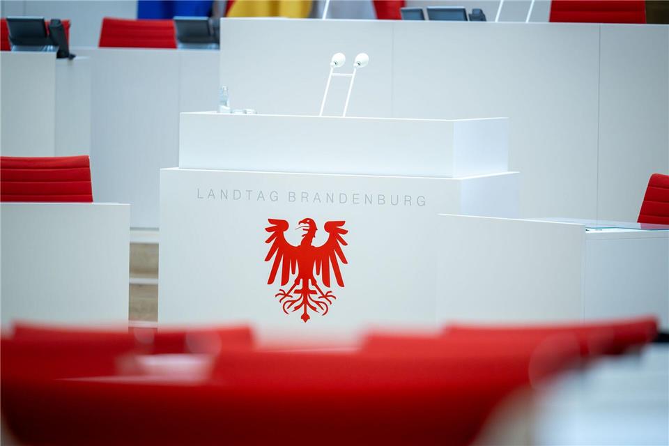 Im Brandenburger Landtag sind mehrere Kinder für ihr soziales Engagement ausgezeichnet worden. (Archivbild)Soeren Stache/dpa