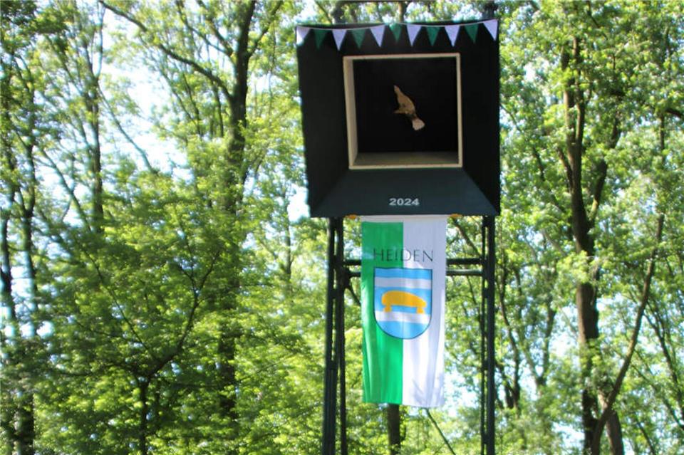 Im Elschatt wird jedes Jahr der König ausgeschossen wie hier 2024. Ob auch Frauen auf den Vogel anlegen können, könnte sich Samstagabend entscheiden.