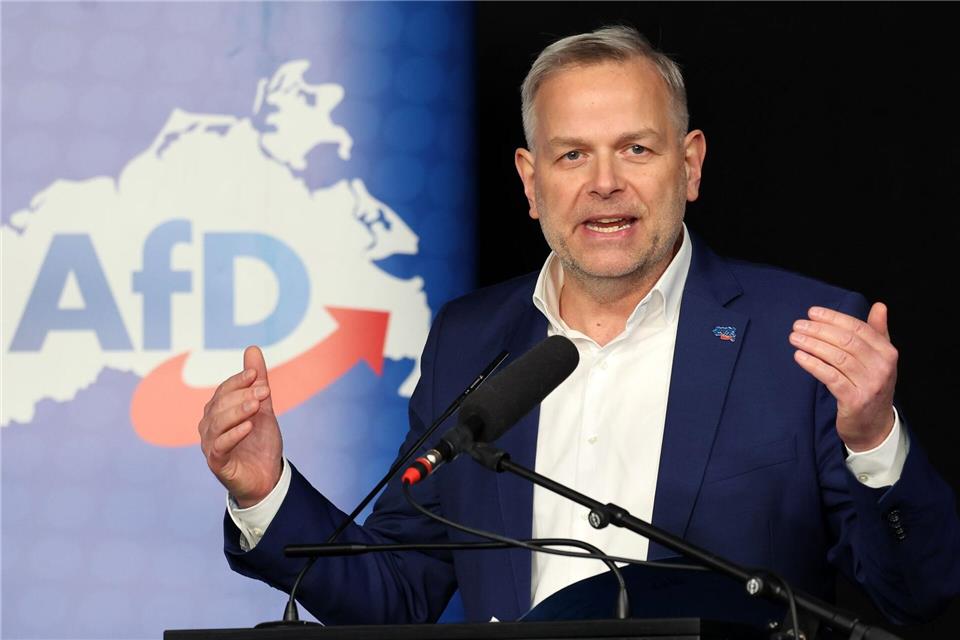 Im Falle seiner Wahl zum Ministerpräsidenten in Mecklenburg-Vorpommern will AfD-Mann Leif-Erik Holm bei der Landesverwaltung Geld einsparen.Bernd Wüstneck/dpa