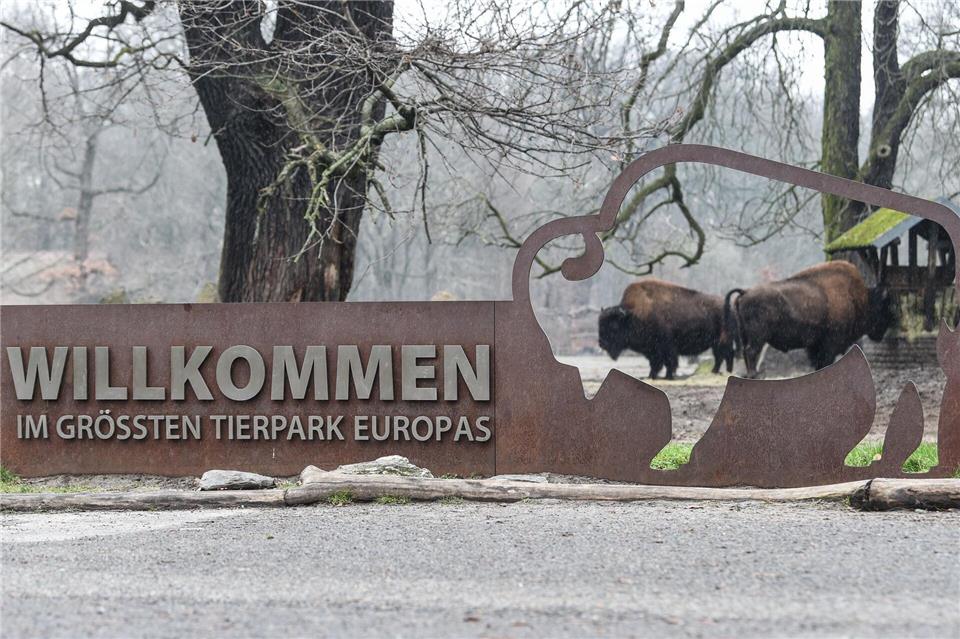 Im Februar können Menschen ab 65 Jahren kostenlos den Berliner Tierpark besuchen. (Archivbild)Kira Hofmann/dpa-Zentralbild/ZB