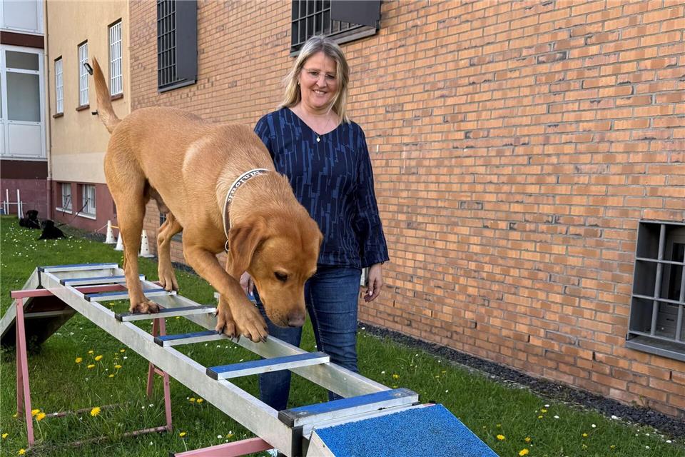 Im Freibereich der Jugendarresteinrichtung hat Ausbilderin Angelika Simon mehrere Übungen aufgebaut, an denen die Jugendlichen ihren Umgang mit Hunden trainieren können. Michael Bauer/dpa