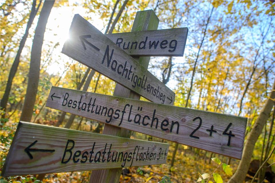 Im Friedwald ist kein Grabschmuck zugelassen. (Archivbild)Klaus-Dietmar Gabbert/dpa-Zentralbild/ZB