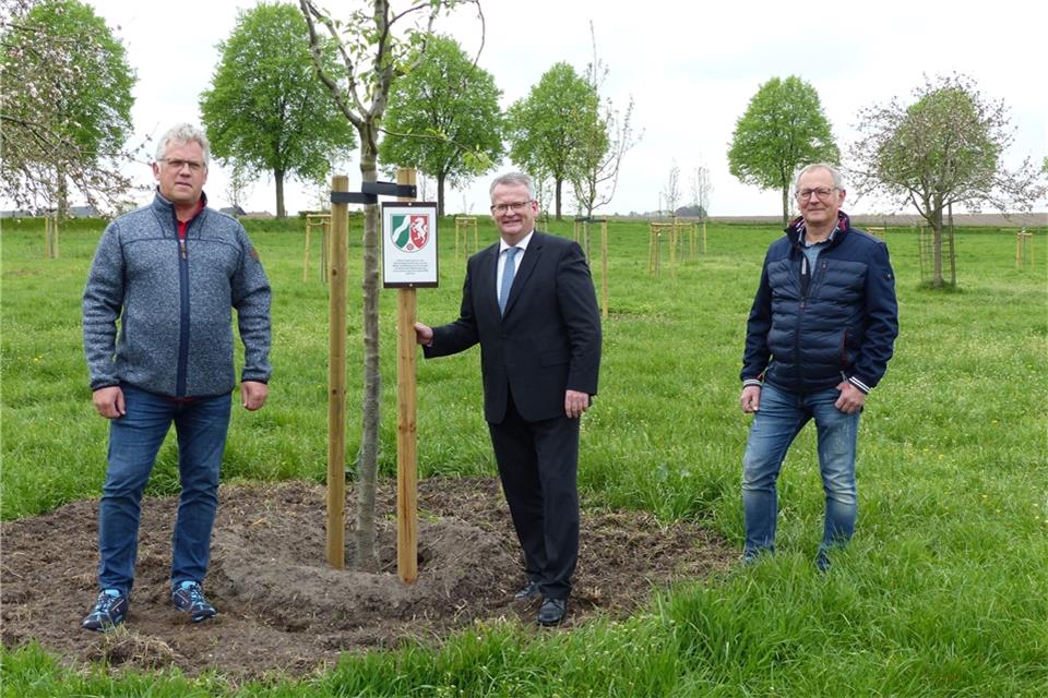 Im Frühjahr hat die Gemeinde mit Fördergeld neue Bäume gepflanzt: Bernhard Kösters, Martin Tesing und Bernd Roters (v.l.)