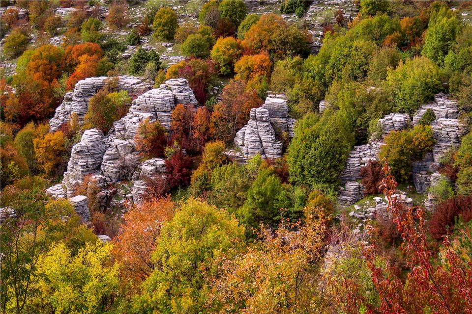 Im Frühjahr ist das Wetter angenehm für eine Wanderung - oder im Herbst, wenn tolle Farben hinzukommen.Luisa Heyer/dpa-tmn