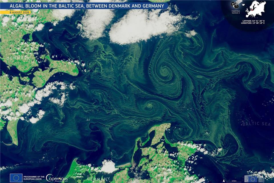 Im Gegensatz zu ihrem Namen handele es sich nicht um klassische Algen, sondern um sogenannte Cyanobakterien (Handout)---/Europäische Union, Copernicus Sentinel-2/dpa