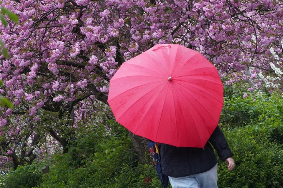 Hamburg erlebt sehr warmes und feuchtes Jahr 2024 Im Hamburger Sommer hatte auch der Regenschirm seine Einsätze. (Archivbild)Marcus Brandt/dpa