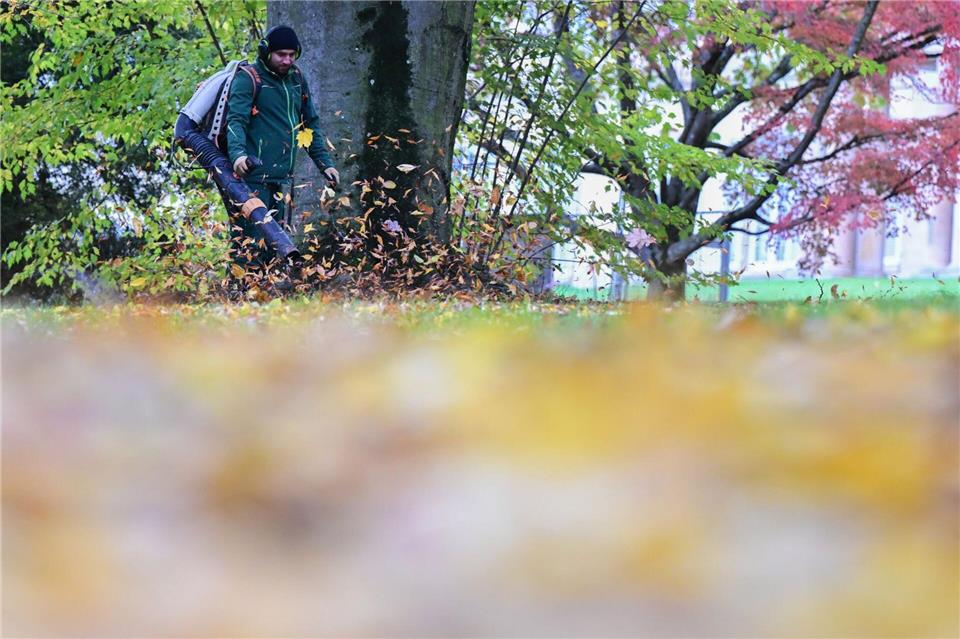 Im Herbst sind die Laubbläser vielerorts zu hören. (Archivbild)Bernd Weißbrod/dpa