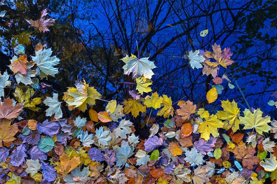 Im Herbst zeigt sich die Natur bunt Patrick Pleul/dpa