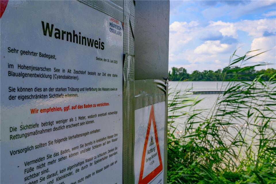 Im Hohenjesarscher See trüben Blaualgen derzeit den Badespaß.Patrick Pleul/dpa