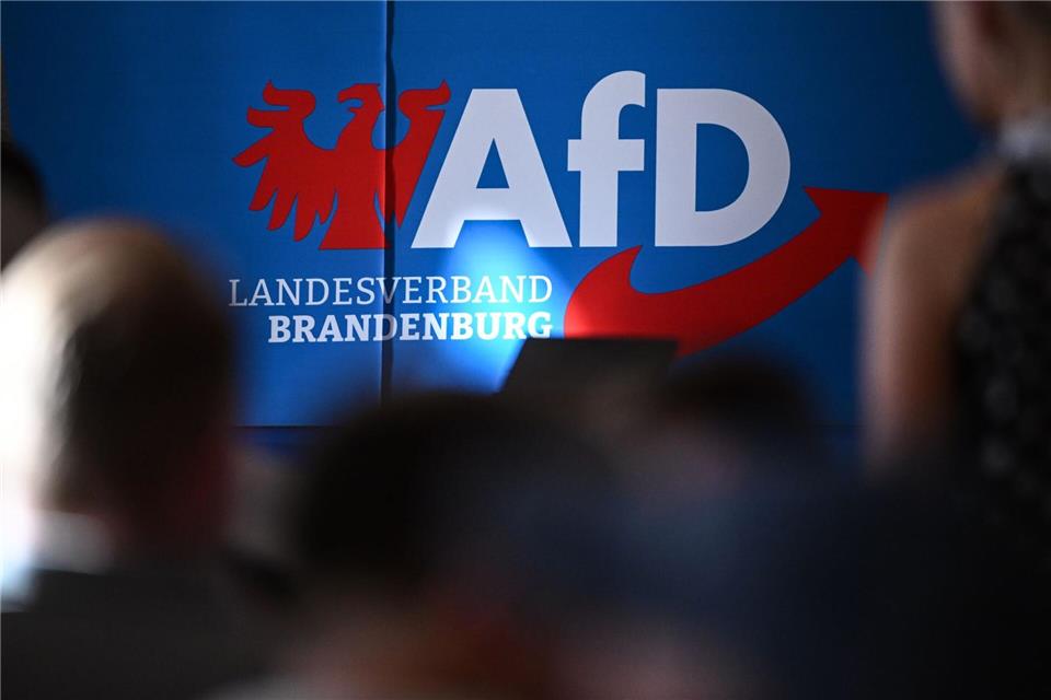 Im Januar streiten AfD und Verfassungsschutz vor Gericht. (Archivbild)Britta Pedersen/dpa