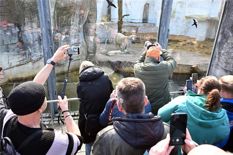 Im Karlsruher Zoo wurde in der Nacht Müll in etliche Gehege geworfen. (Archivbild)Uli Deck/dpa