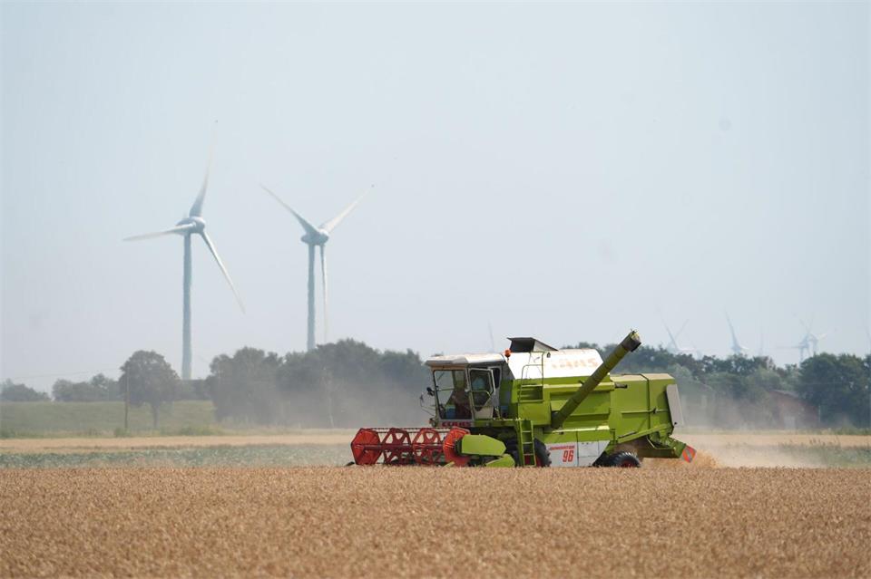 Im Klimawandel kommt es aus Sicht des Bauernverbands darauf an, die richtigen Pflanzen anzubauen und den Boden zu stärken. (Archivbild)Marcus Brandt/dpa