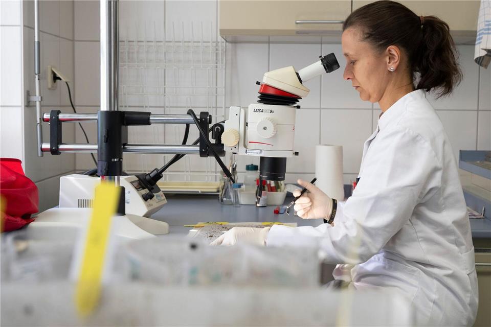 Im Labor in Wetzlar wird gezählt.Boris Roessler/dpa