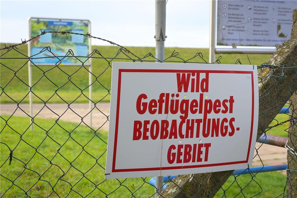Im Landkreis Mansfeld-Südharz wurde die erste Sperrzone wegen der Vogelgrippe eingerichtet. Heiko Rebsch/dpa