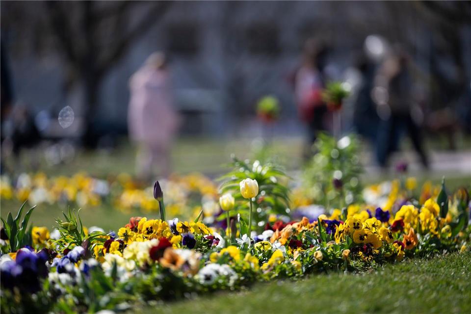 Im Laufe der Woche bleibt es frühlingshaft warm. Marijan Murat/dpa