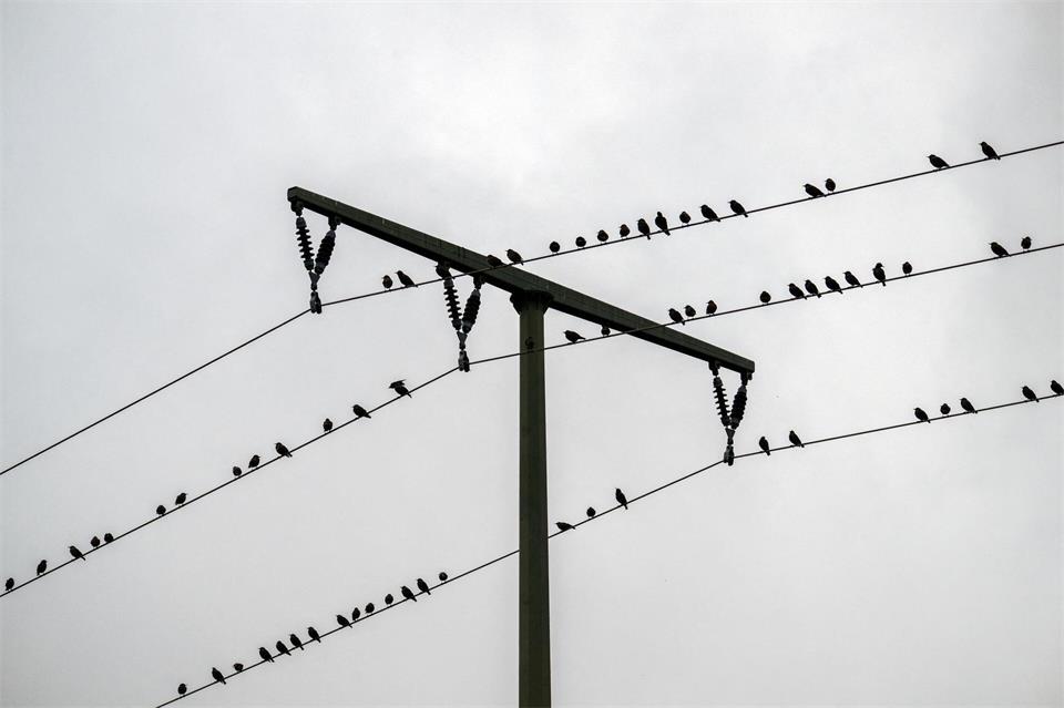 Im Laufe des Samstags sollen die Wolken über Bayern zunehmen aufreißen. (Archivbild)Pia Bayer/dpa