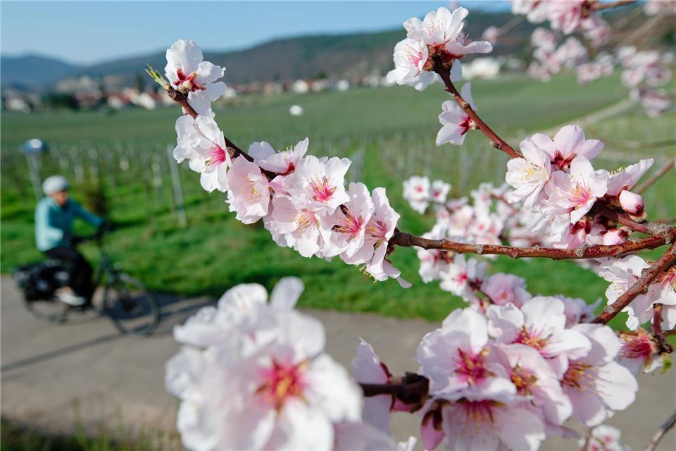 Im März lockte das Wetter bereits zu vielen Aktivitäten ins Freie. (Archivbild)Uwe Anspach/dpa