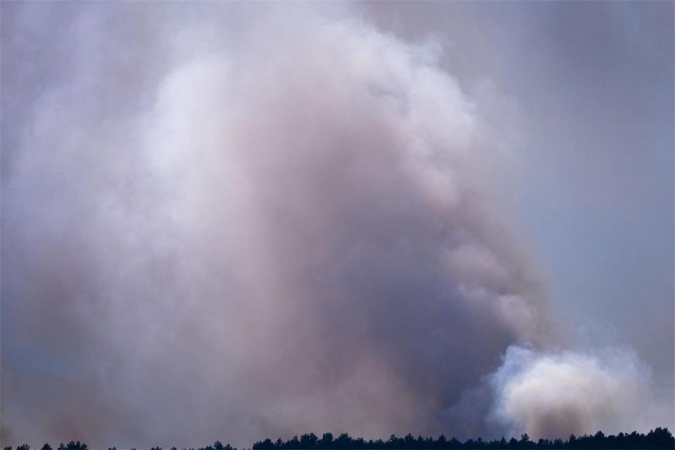 Im Müritz-Nationalpark hat es im Juli einen großen Waldbrand gegeben. (Archivbild)Jens Büttner/dpa