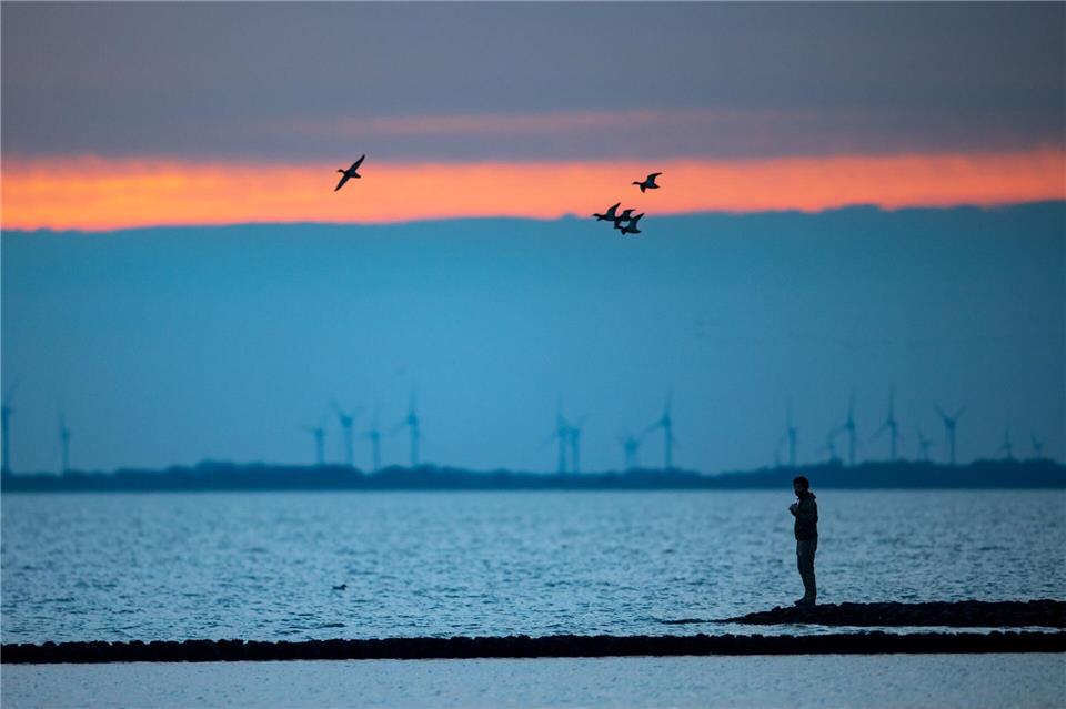 Im Nationalpark Niedersächsisches Wattenmeer beginnen bald die Zugvogeltage. (Archivbild)Sina Schuldt/dpa