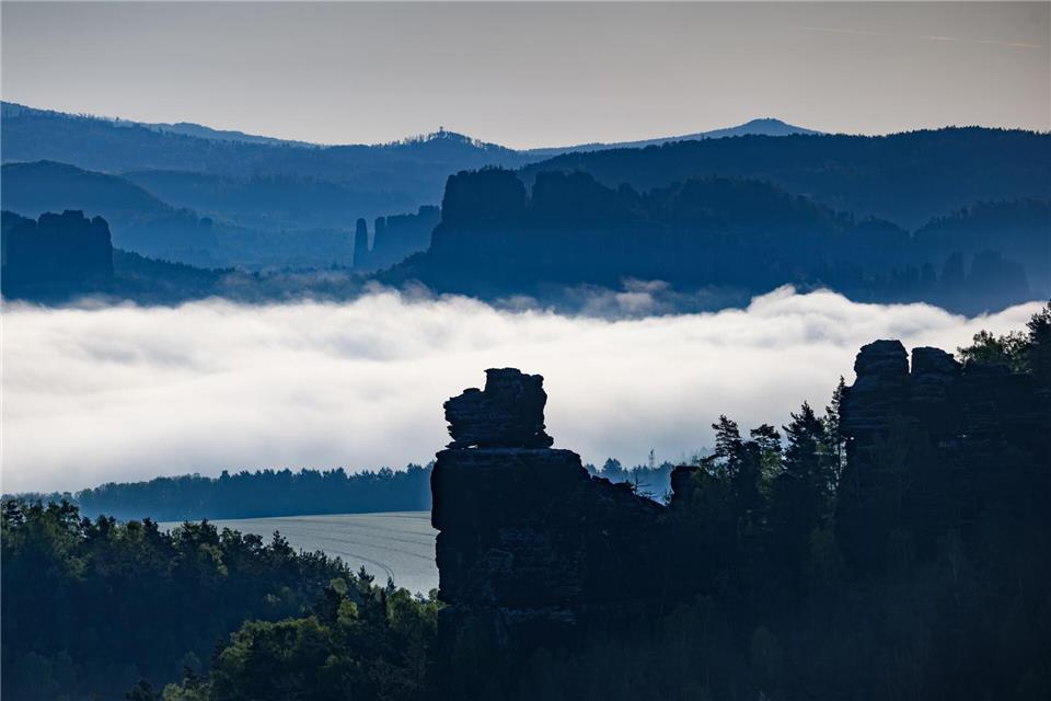 Im Nationalpark ist erstmals der Scharlachkäfer nachgewiesen worden. (Archivbild)Robert Michael/dpa