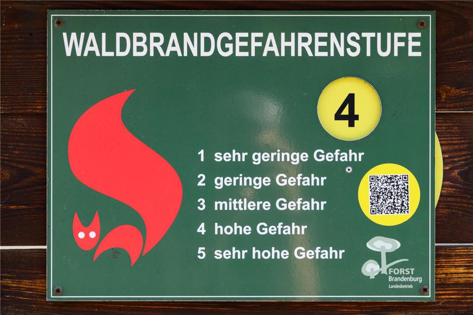 Im Nordwesten Brandenburgs ist die Waldbrandgefahrenstufe 4 erreicht. (Archivbild)Patrick Pleul/dpa