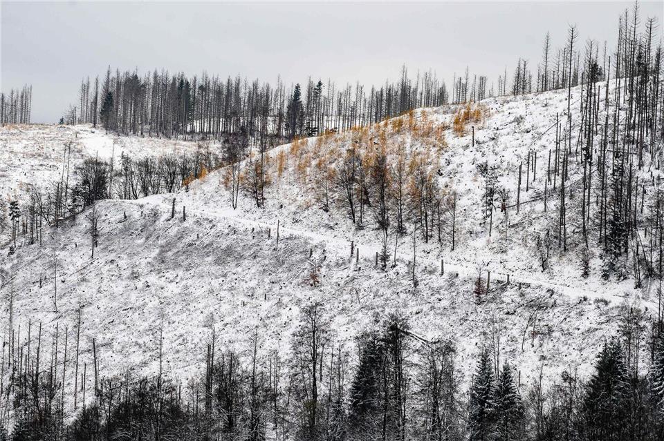 Im Oberharz fällt in den kommenden Tagen Schnee. (Archivbild)Swen Pförtner/dpa