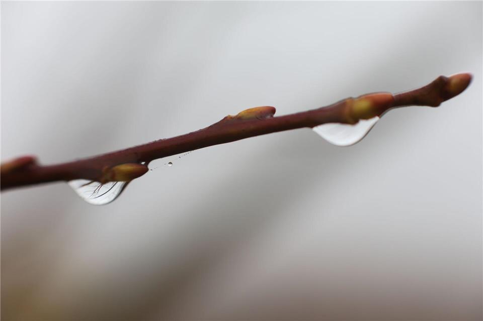 Im Oberharz kann das Thermometer nachts auch unter den Gefrierpunkt fallen. (Symbolbild) Matthias Bein/dpa