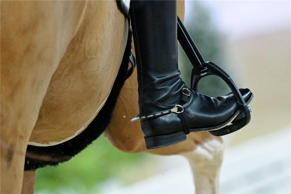 Im Pferdesport gibt es eine umstrittene Regeländerung. (Archivbild)Uwe Anspach/dpa