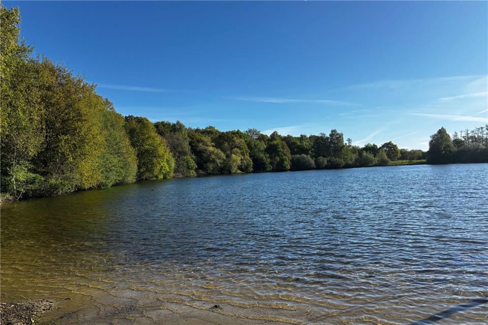 Im Pröbsting-Badesee haben sich Blaualgen ausgebreitet.