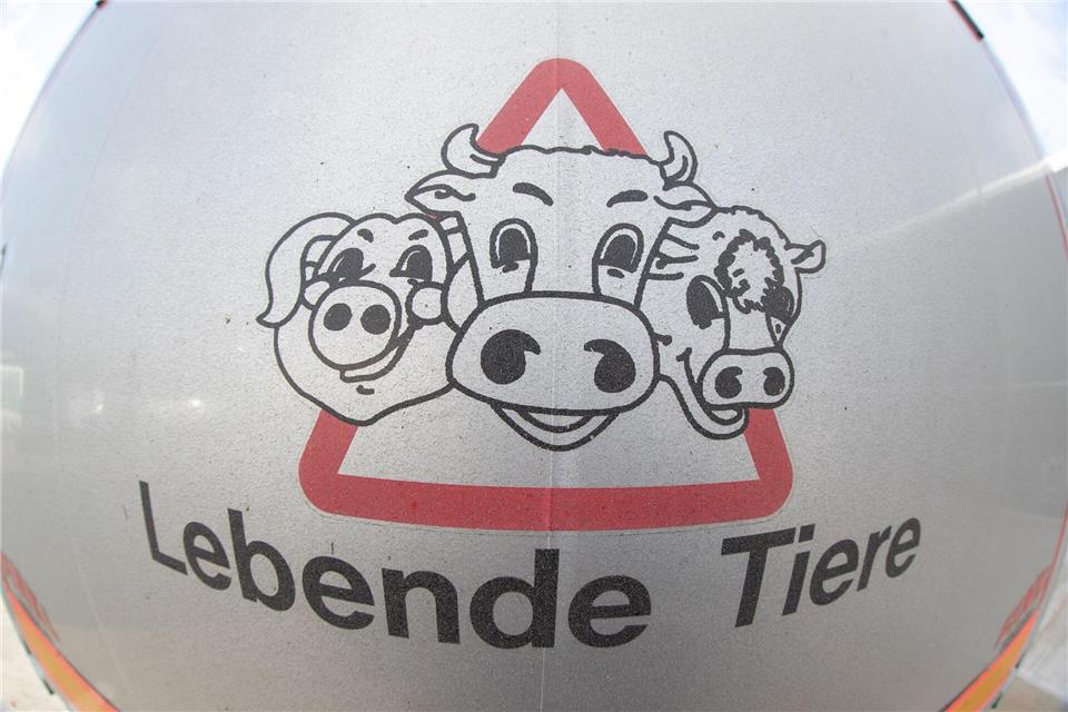 Im Prozess nach Tierschutzverstößen im früheren Schlachthof Bad gegen zwei Tierärzte wird das Verfahren voraussichtlich gegen Geldbußen eingestellt. (Symbolbild)Friso Gentsch/dpa