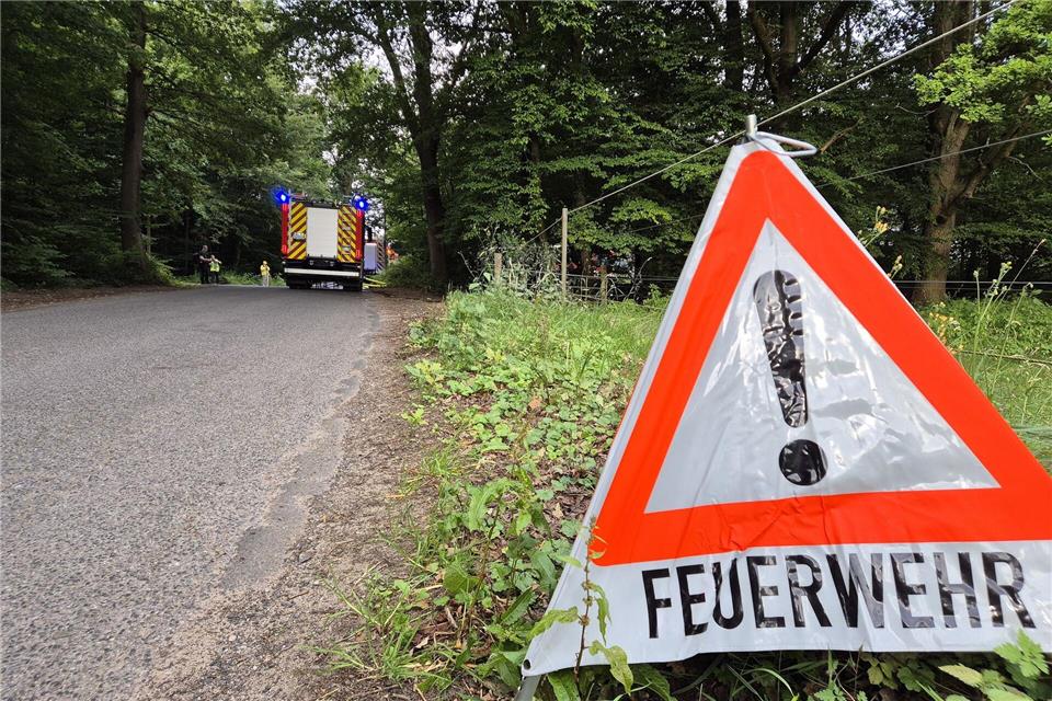 Im Raum Hildburghausen ist die Waldbrandgefahr in Thüringen inzwischen am höchsten. (Symbolbild)str/dpa