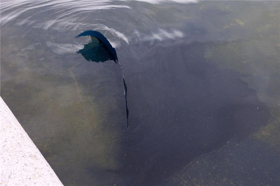 Im Reflecting Pool löst sich Farbe.Gent Shkullaku/ZUMA Press Wire/dpa