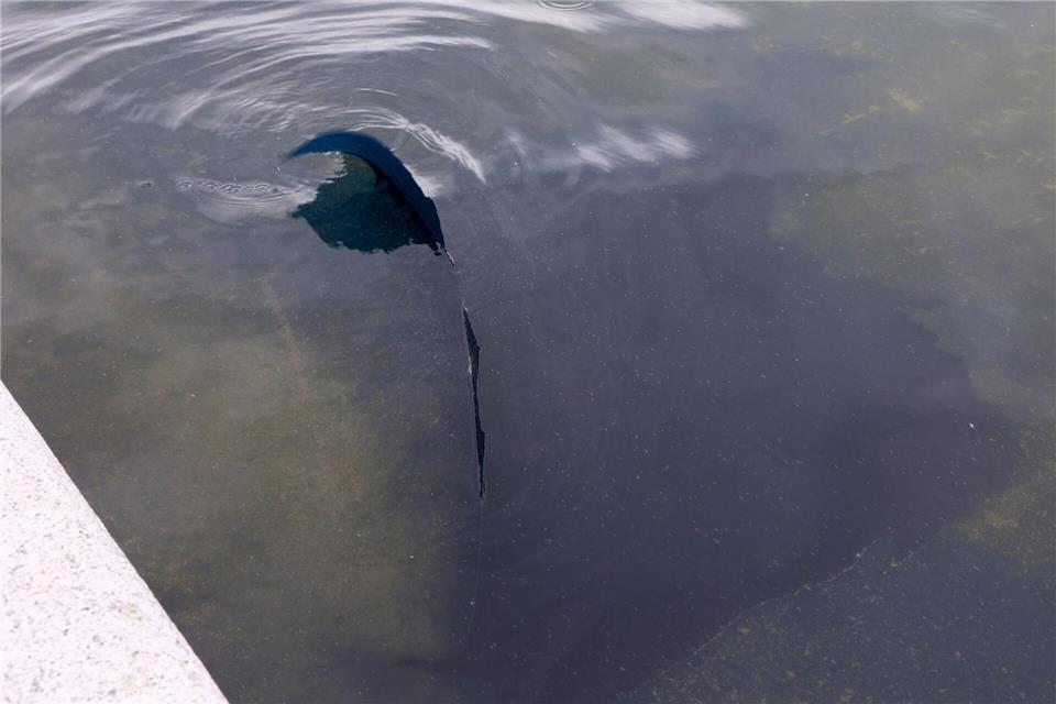 Im Reflecting Pool löst sich Farbe.Gent Shkullaku/ZUMA Press Wire/dpa