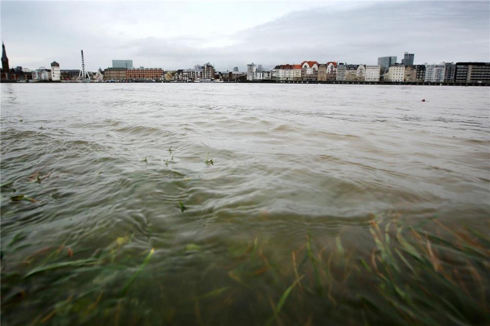 Im Rhein schwimmt mehr Müll als angenommen. (Archivbild).Martin Gerten/dpa