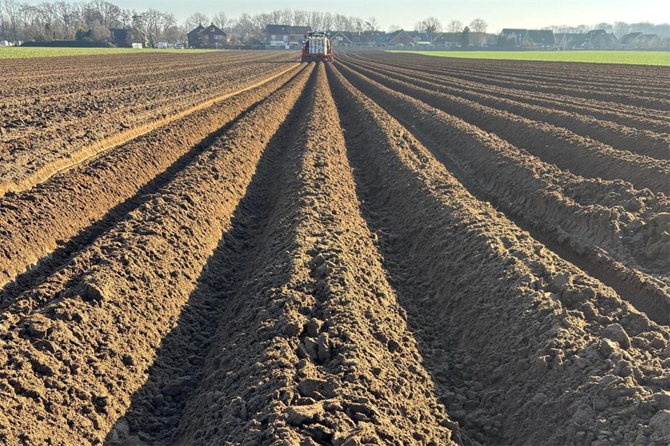 Im Schnitt kostete ein Quadratmeter landwirtschaftlicher Fläche im Kreis Borken im vergangenen Jahr fast 14 Euro.