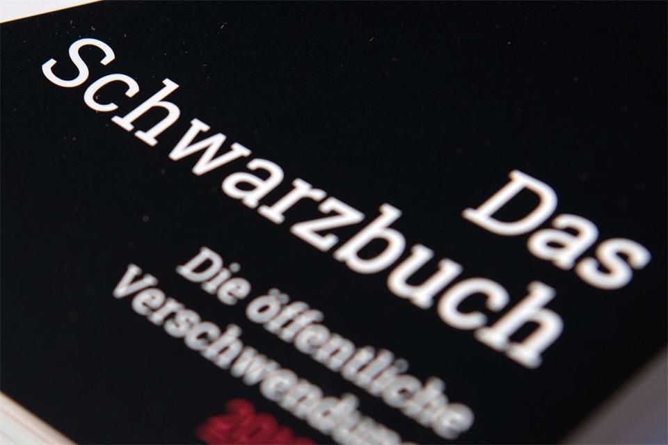 Im Schwarzbuch sind auch Fälle aus Schleswig-Holstein aufgeführt. (Symbolbild)Ralf Hirschberger/dpa-Zentralbild/dpa