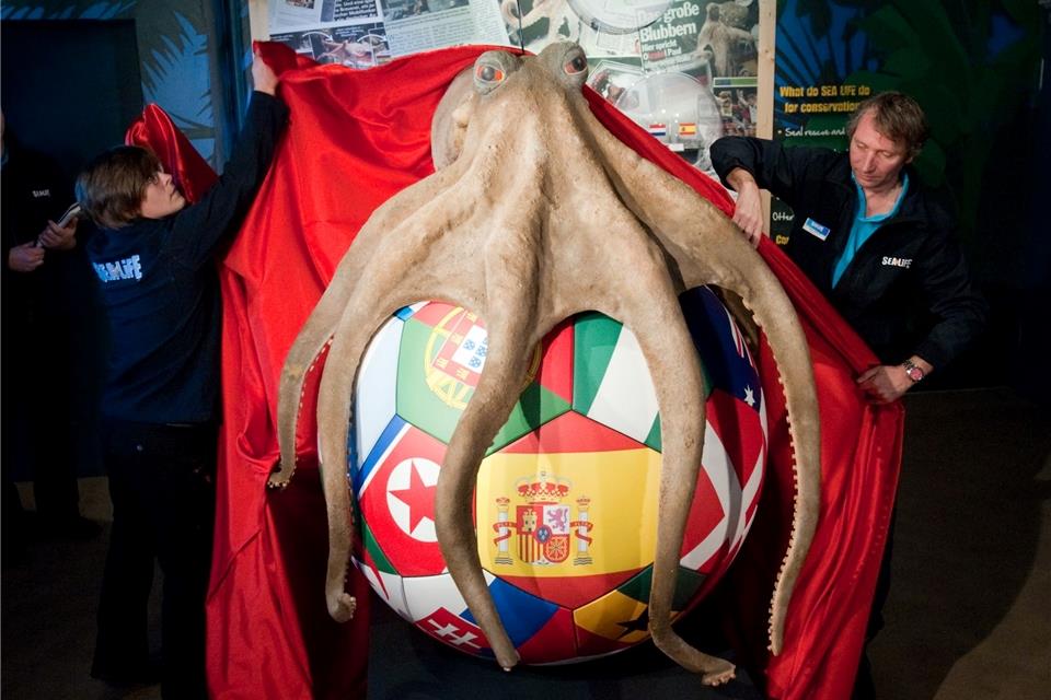 Im Sea Life Oberhausen steht ein Denkmal für den Oktopus Paul.