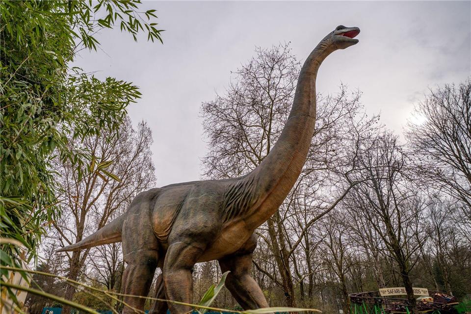 Im Serengeti-Park sind auch Dinos willkommen: Dieser animierte Brontosaurus ist der neue Blickfang in Hodenhagen.Serengeti-Park/dpa-tmn